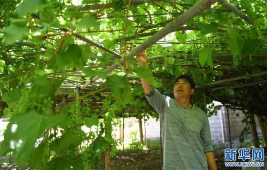           o   ¨      6   èμ°è  è￥ è   o￠é   1  1 è   o·    o3è￥  °     1 