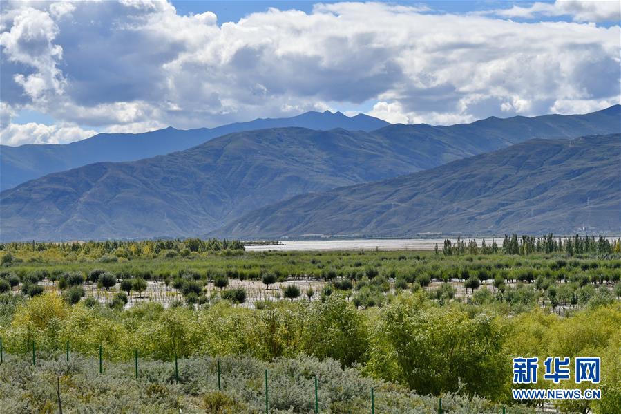 （圖文互動(dòng)）（4）“今天的生活，就像夢里夢到那樣甜”——寫在西藏百萬農(nóng)奴解放61周年之際