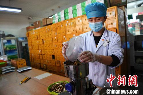 疫情發(fā)生以來，甘肅確保所有病例盡早、及時(shí)、全程使用中醫(yī)中藥，努力做到“一患一方案”。(資料圖) 楊艷敏 攝